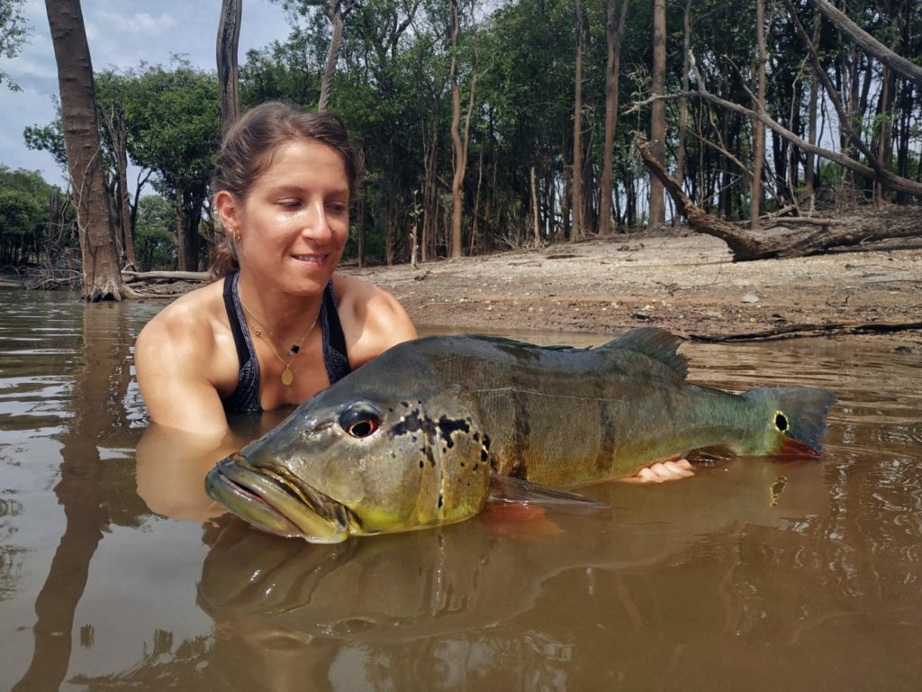 un magnifique peacock pour Mathild de Mr and Mrs Fish