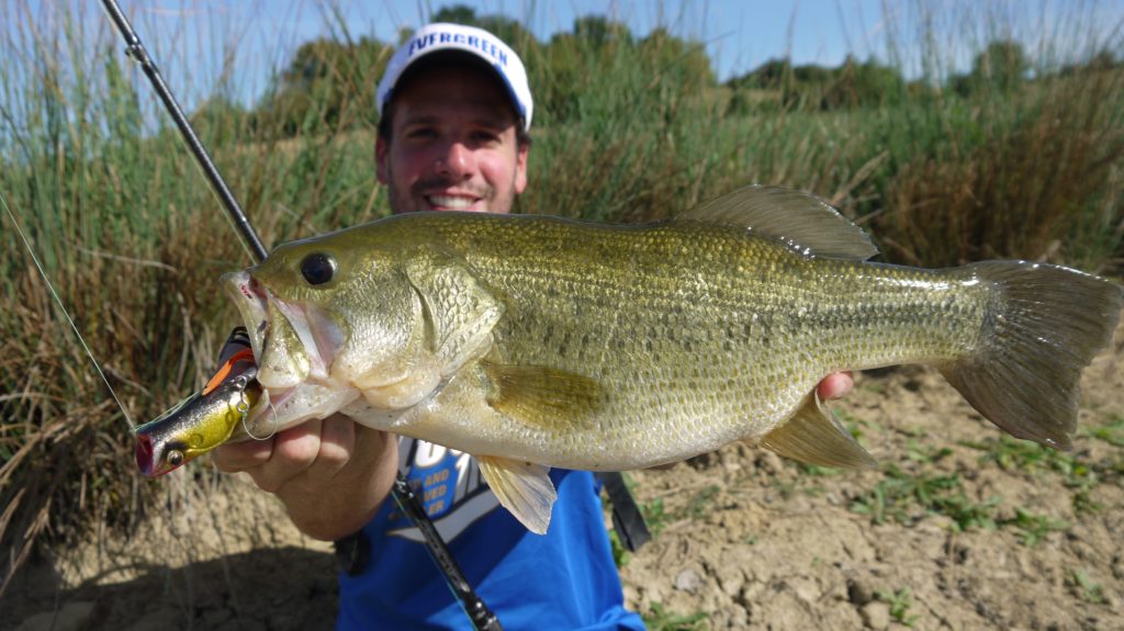 Pêcher dans les herbiers à la frog