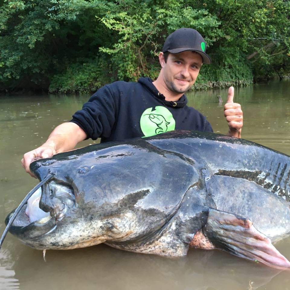 Top 2 : Silure record de France de 274 cm pris par Jean-Christophe Conéjéro sur le Tarn