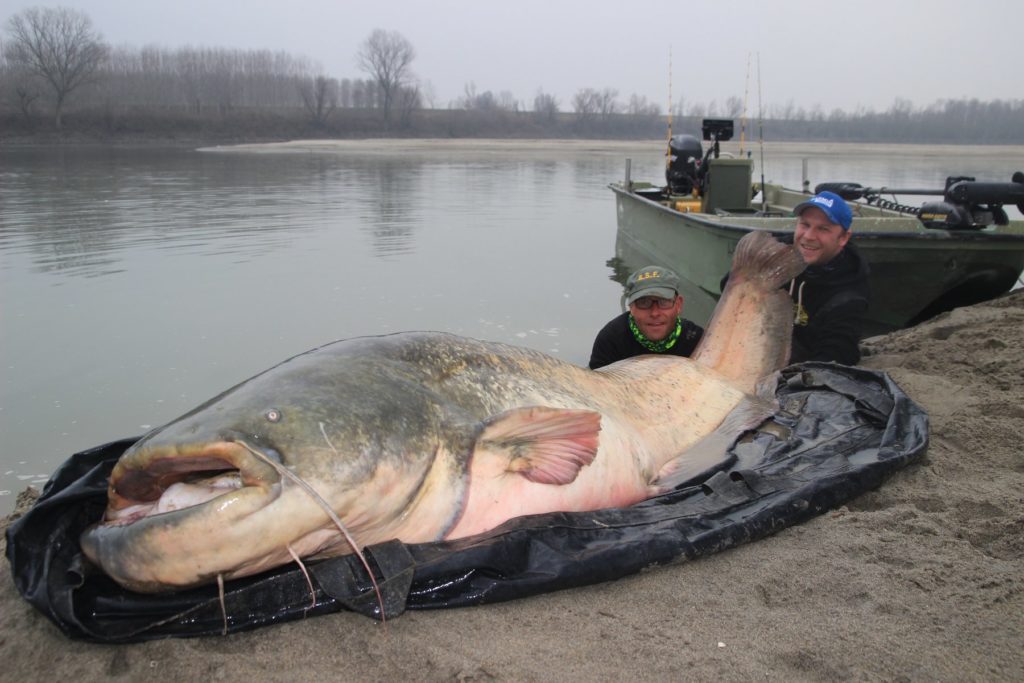 268 cm pris par Markus Brock sur le Pô