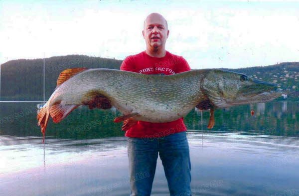 Top 7 : Brochet de 135 cm pris par Joël Mougel sur le lac de GERARDMER