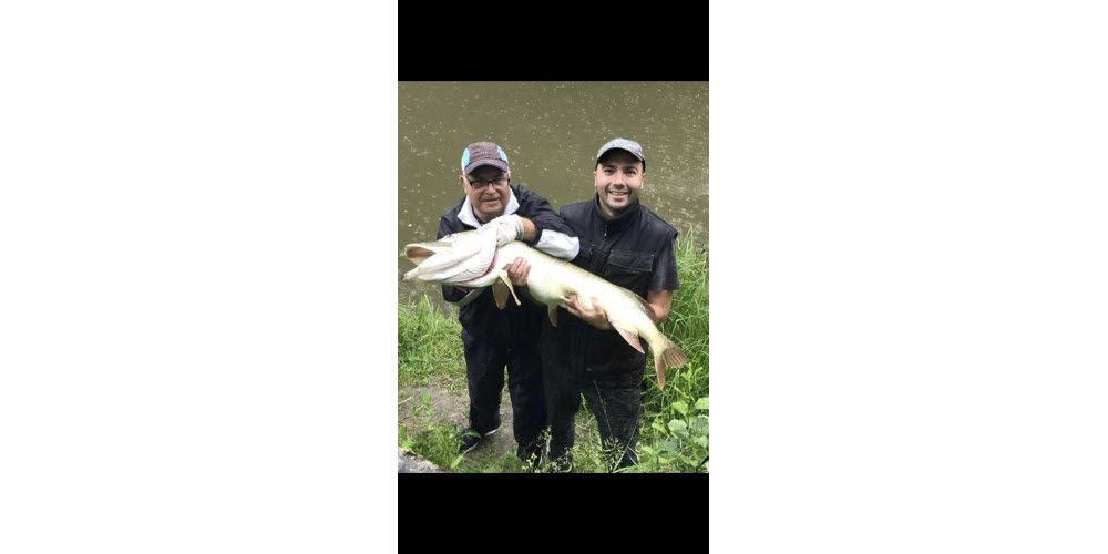 Top 5 : Brochet record de 136 cm pris par Adem Sinanagic sur le canal de Belfort