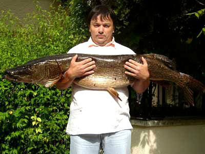 Top 8 : Brochet de 135 cm pris sur le lac de barrage de Crescent