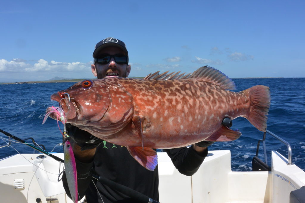 Tanguy Marlin à Madagascar nous présente ce fabuleux Coral Trout pris au Jig