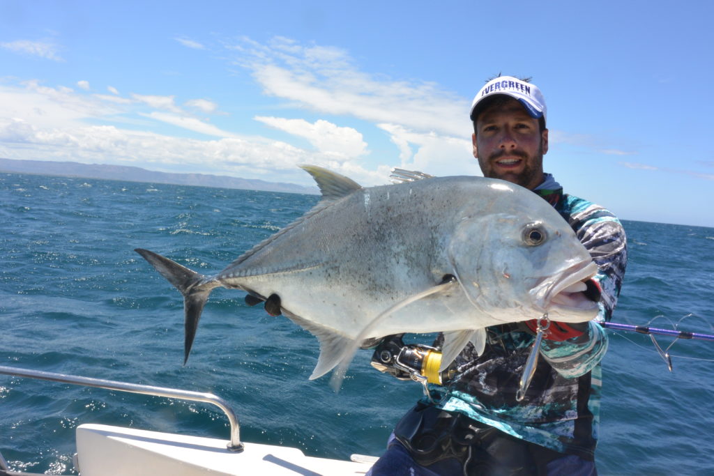 Pesca con jigs : técnicas / aparejos / Jigs