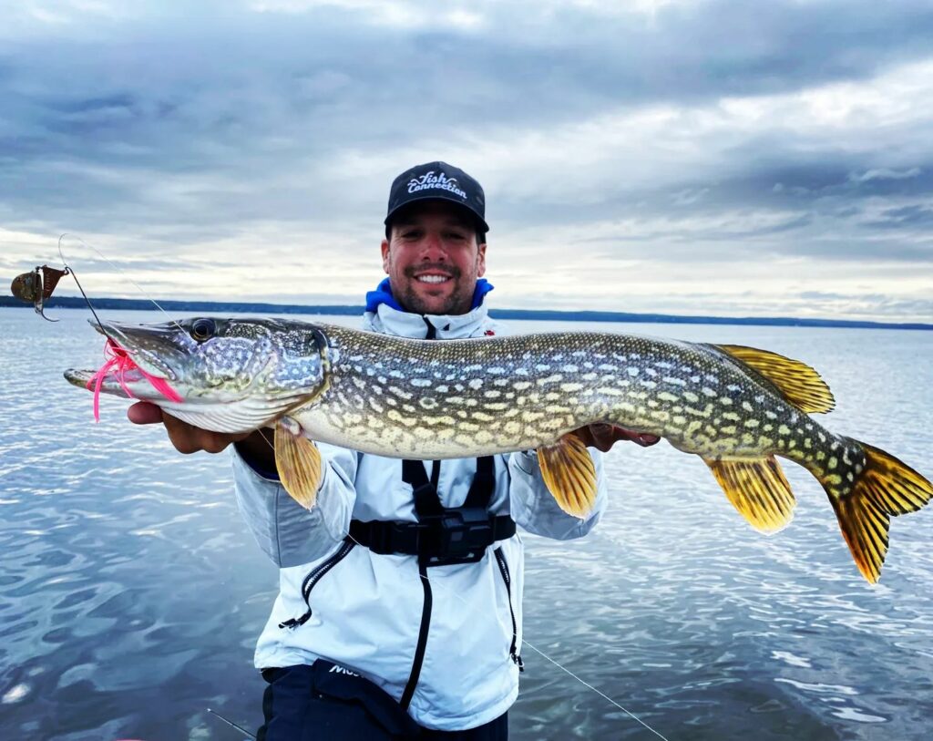 Ouverture de la pêche au brochet 2025