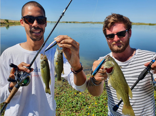 Quand pêcher le black-bass en été ?