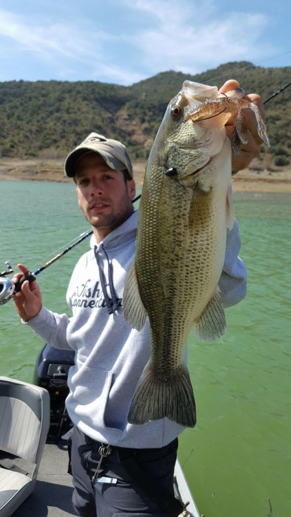 Où pêcher le black-bass en été ?