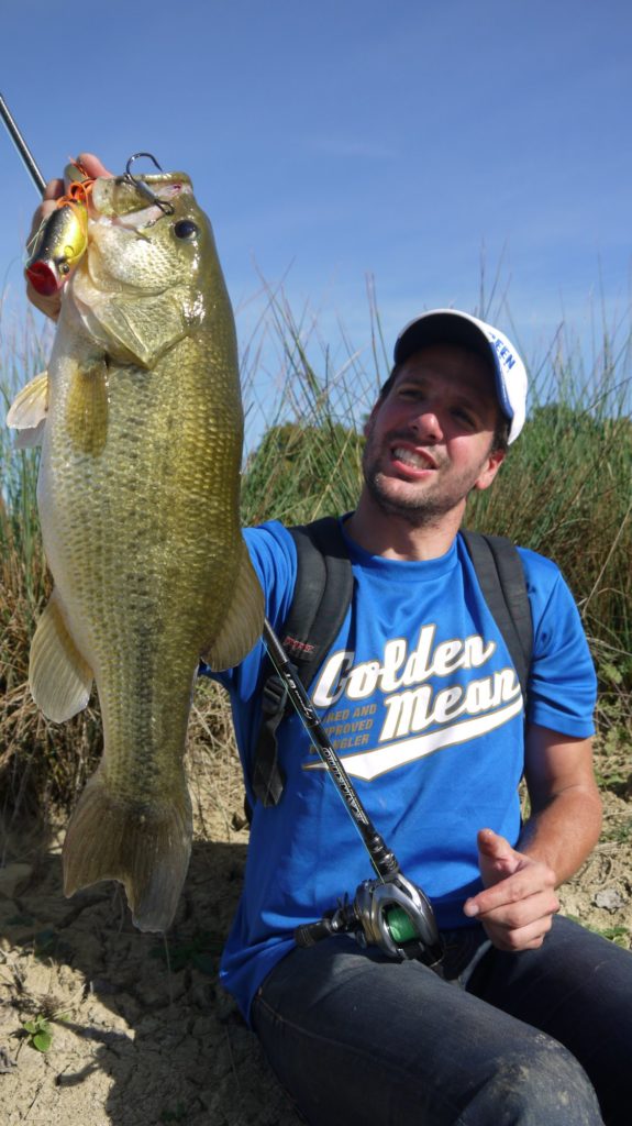 Arriver tôt ou rester tard : les périodes à ne pas manquer pour le bass