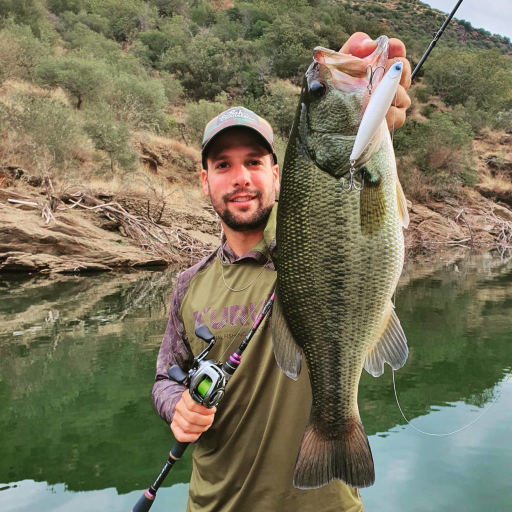 Le topwater : le leurre à black bass d'été par excellence