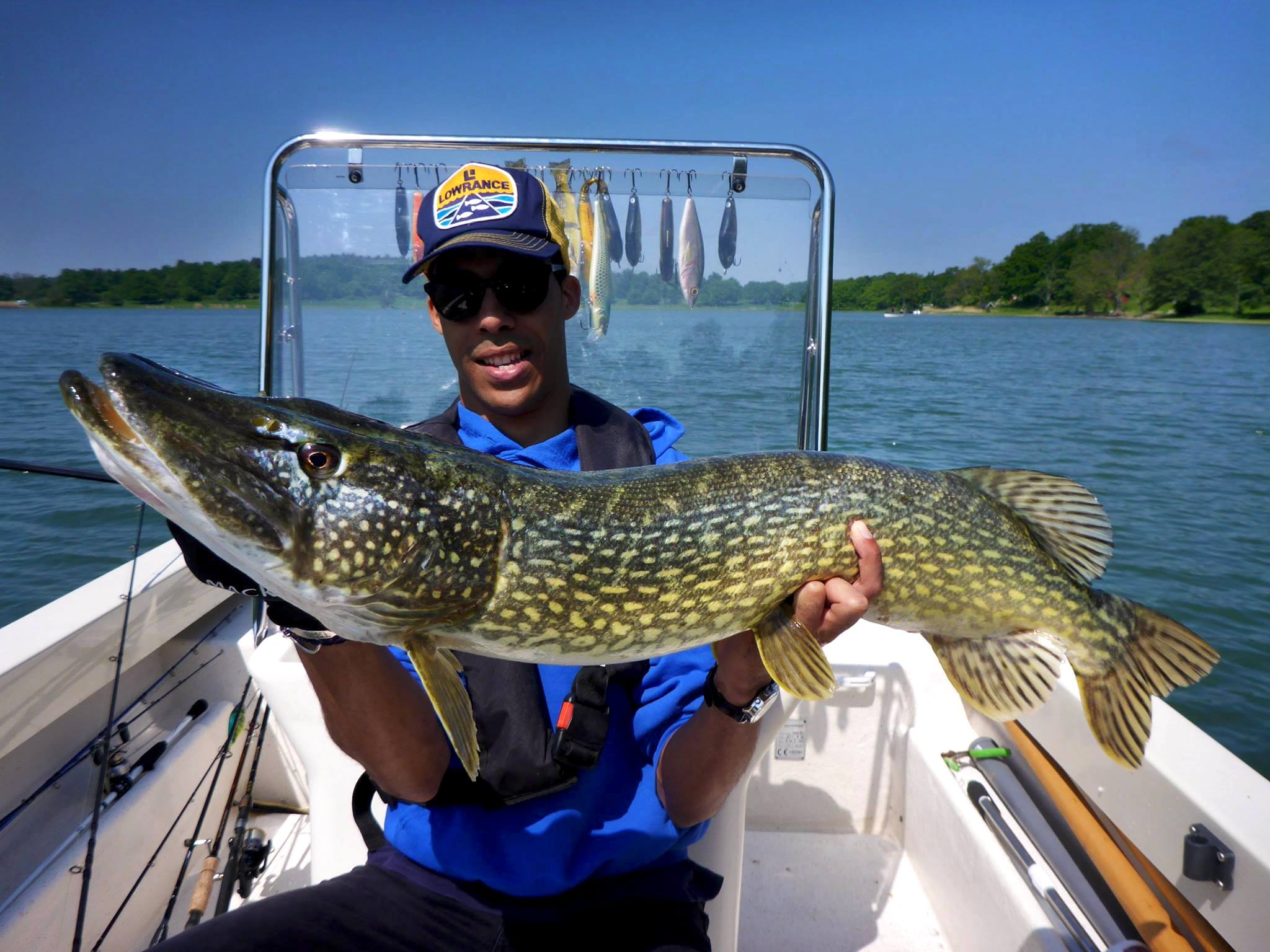 Brochet : Tout savoir sur le poisson roi de l'eau douce