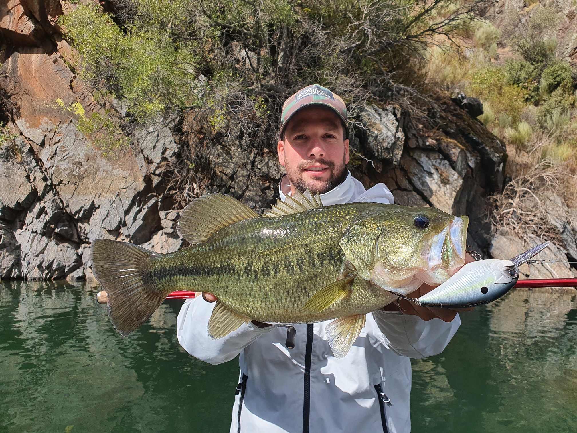 Les avantages du leurre crankbait pour une pêche sportive – Pêche en ligne