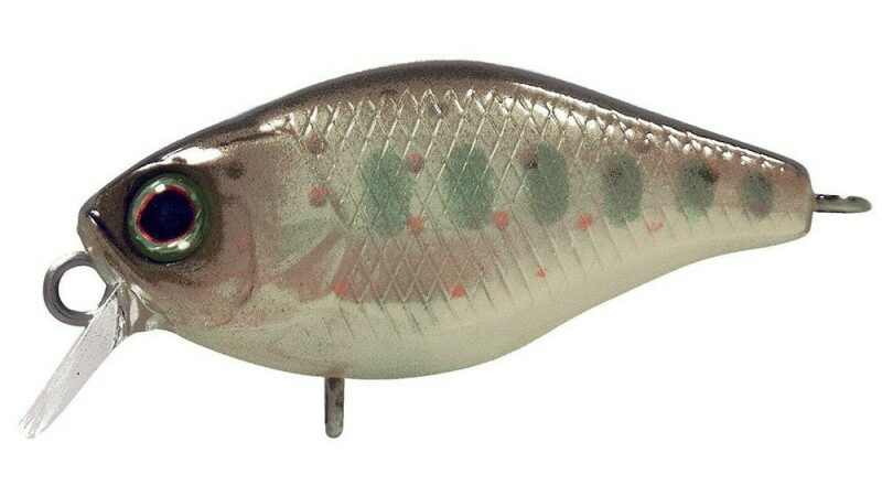 Illex Chubby : meilleur crankbait à truite 2024