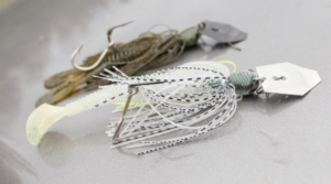 Chatterbait fishing - Everything you need to know about chatterbaits