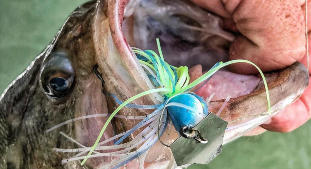 Pesca con Chatterbait