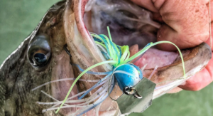 Chatterbait fishing - Everything you need to know about chatterbaits