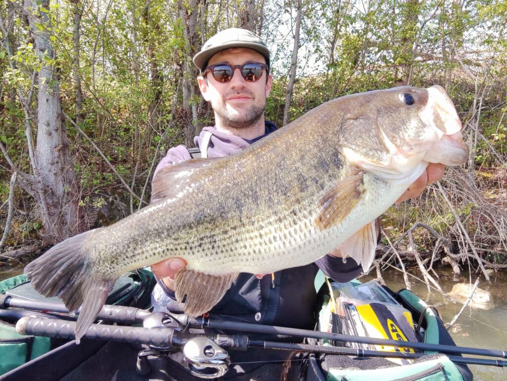 el mejor carrete castingshimano antares DC ayuda a pescar hermosos black-bass