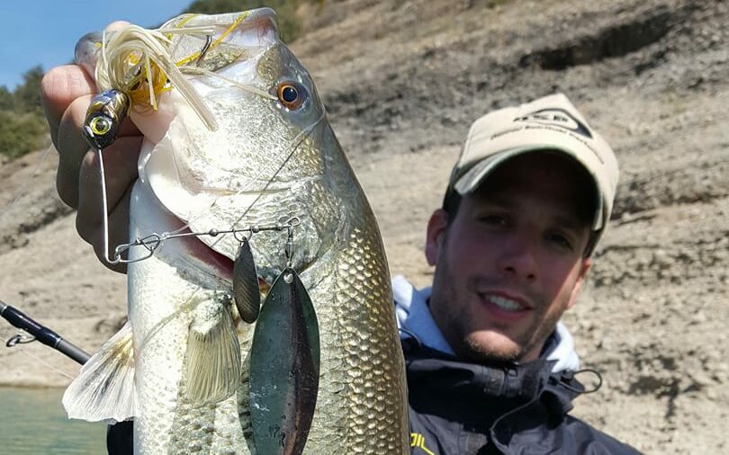 Pesca con spinnerbait - ¿Cómo se pesca con spinnerbait?