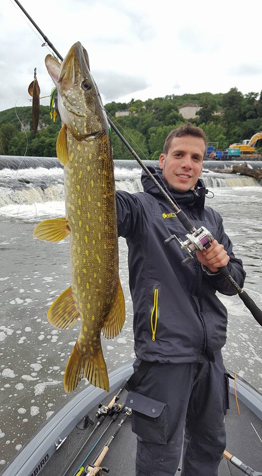 Comment pêcher au spinnerbait ?