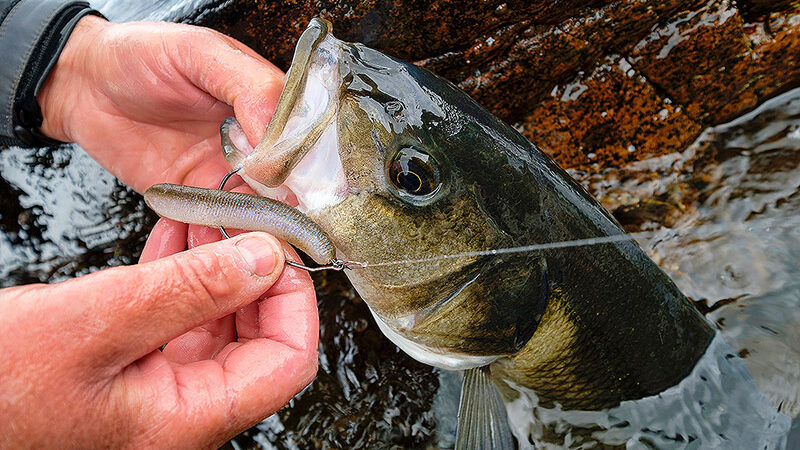 Best soft lures for bass - Our 10 key soft lures for bass fishing