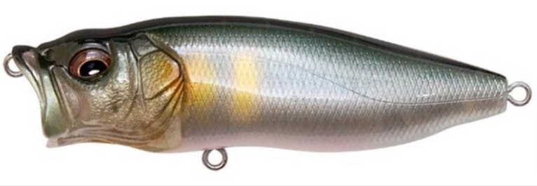 Megabass Pop Max : Un popper à ne pas négliger sur le brochet