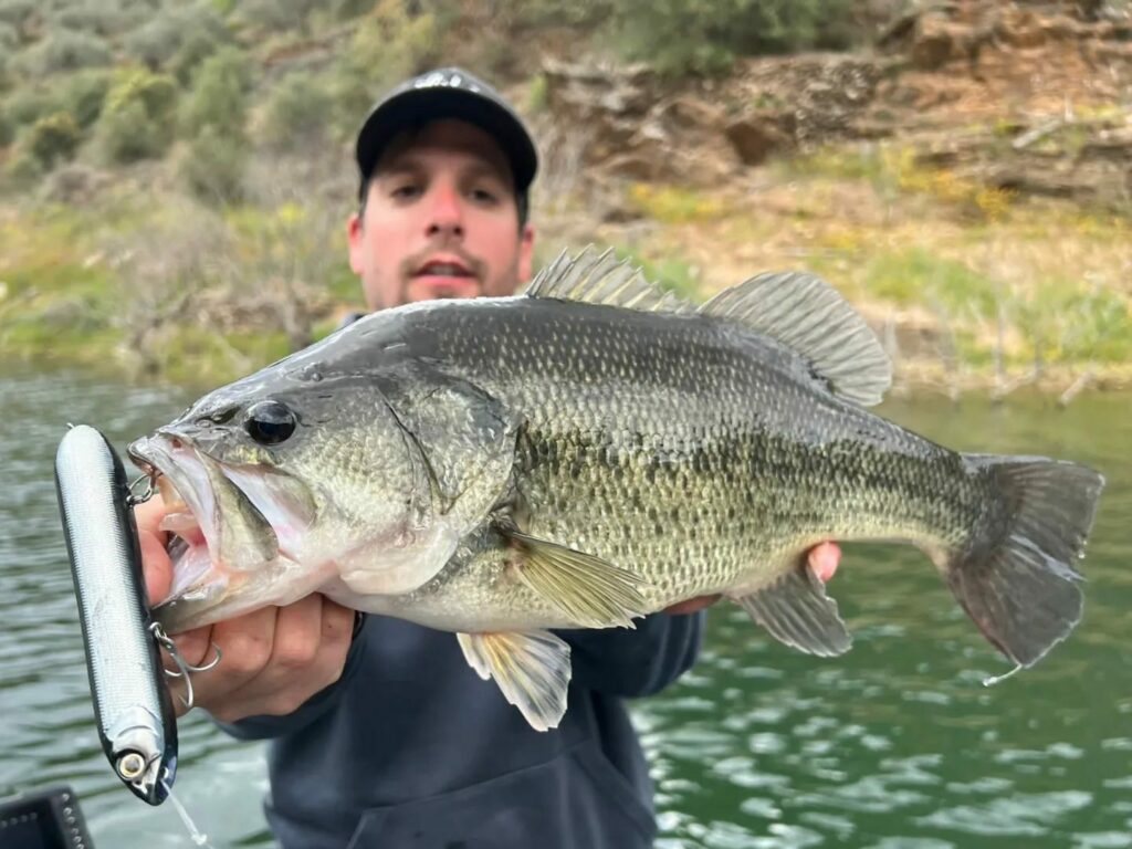 Señuelos de superficie - Todo lo que necesitas saber sobre la pesca con señuelos de superficie