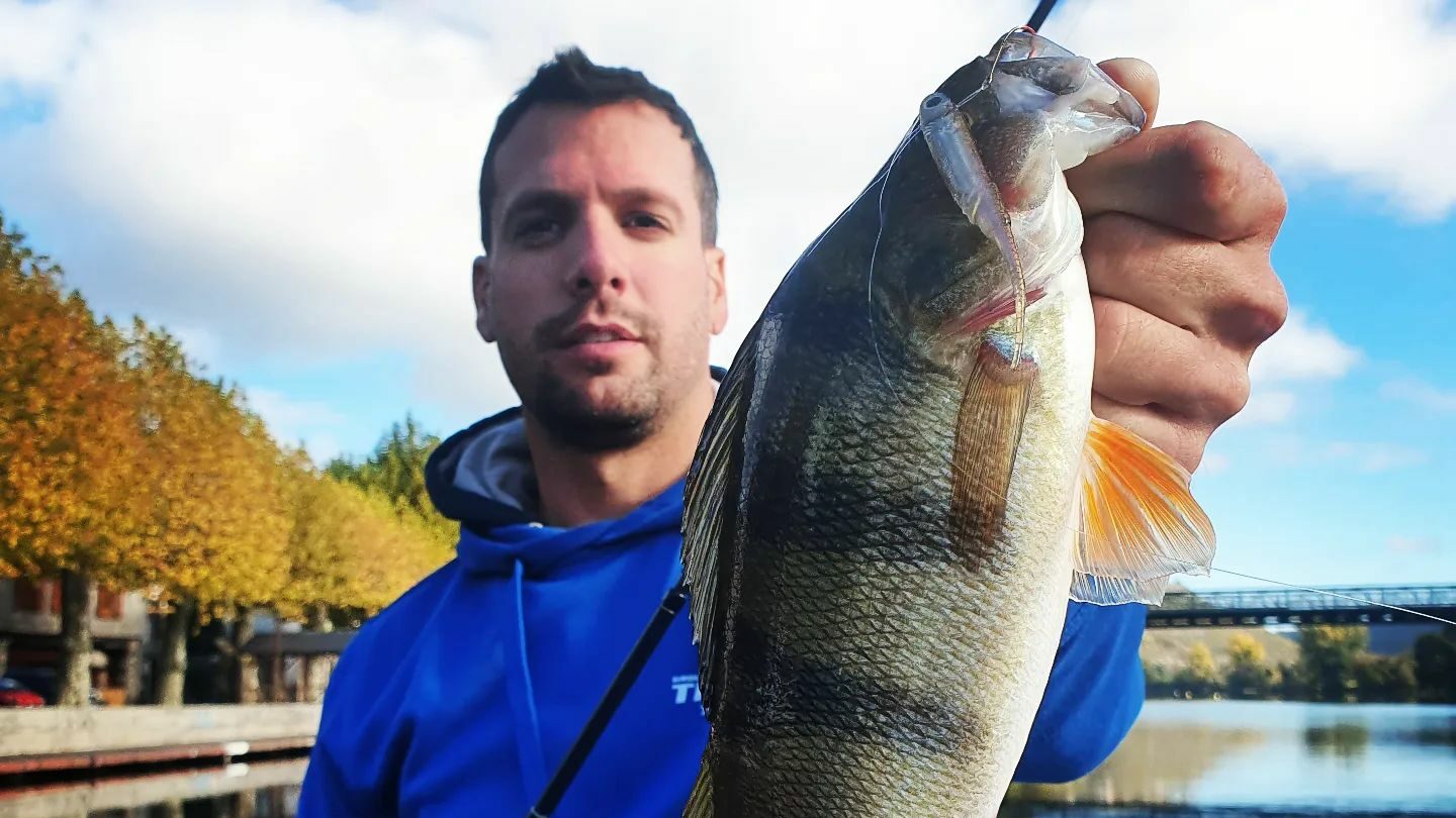 Meilleur leurre souple perche - 10 leurres souples pour pêcher la perche