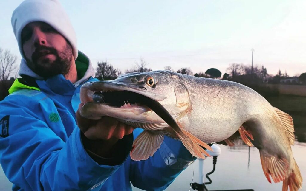 Pesca del lucio en invierno