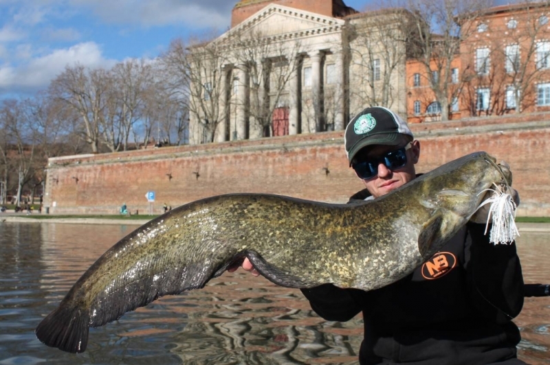 Discovery of catfish fishing in the heart of Toulouse