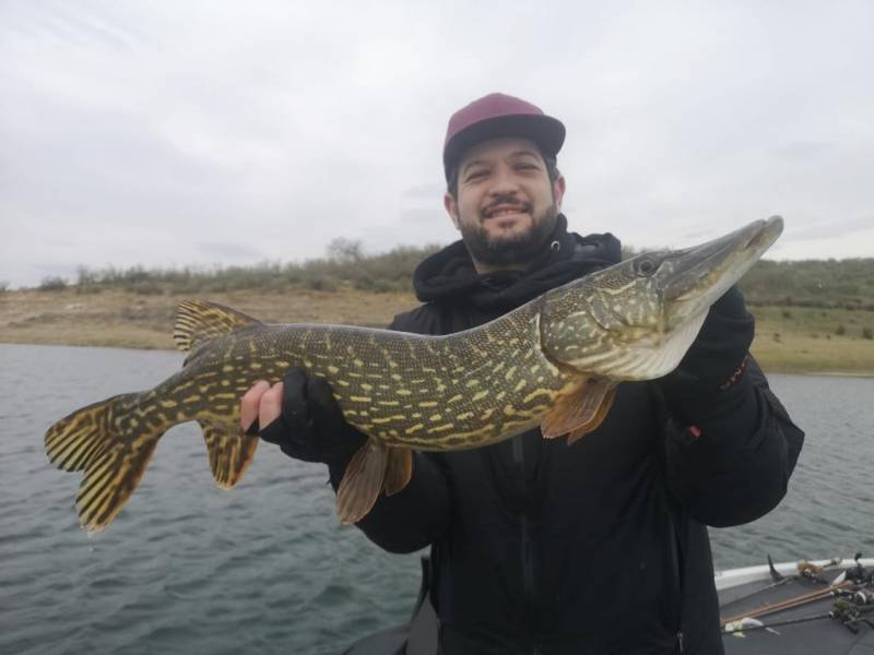 Excursión de un día al Lago Lemán