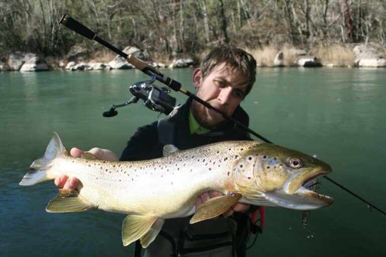 L'histoire d'une truite (33) - Nicolas39 | Pêche à la Mouche | Fly Shop L'histoire d'une truite (33) - Nicolas39 | Pêche à la Mouche | Fly Shop