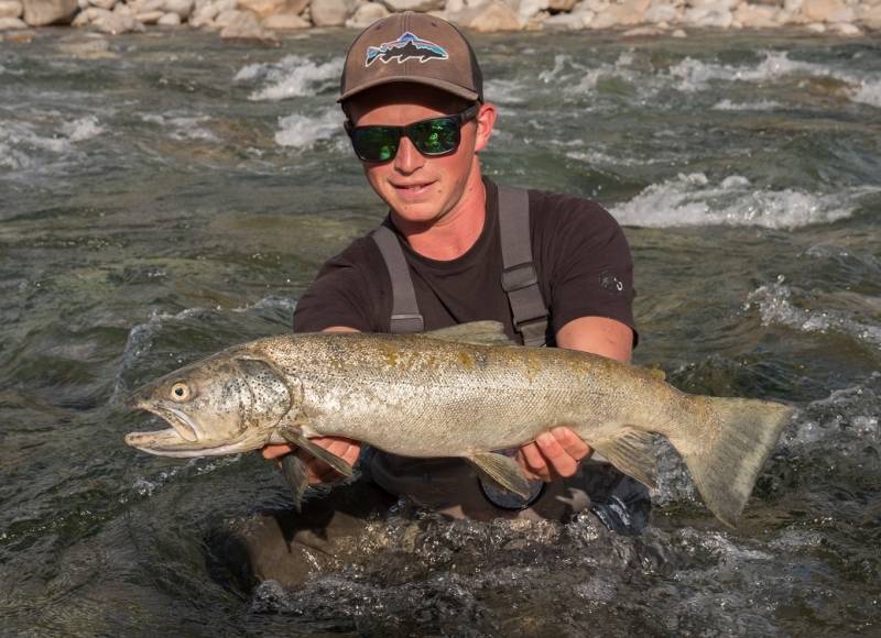 Pesca de la trucha en España