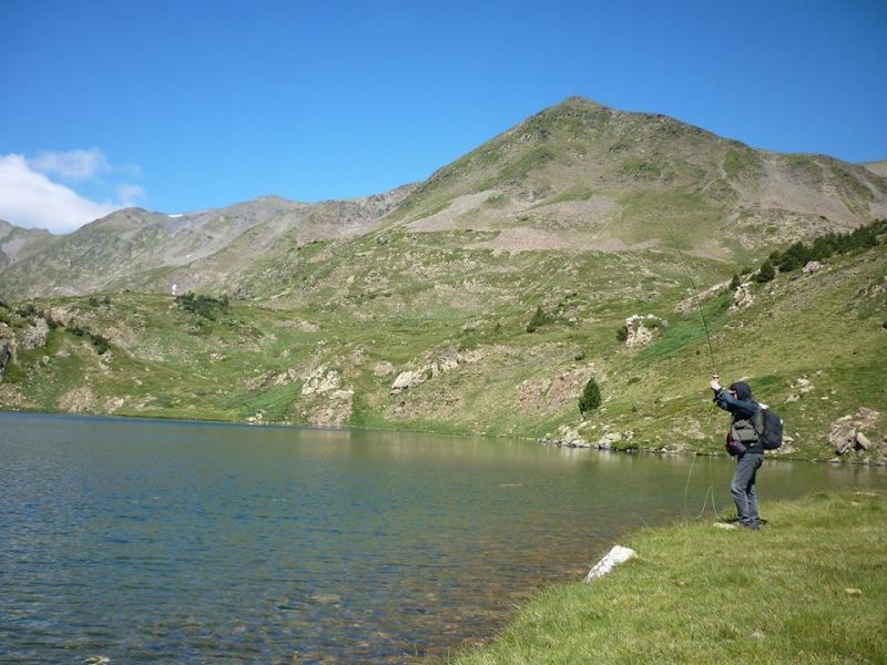 Pêche de la truite en lac de montagne à la mouche