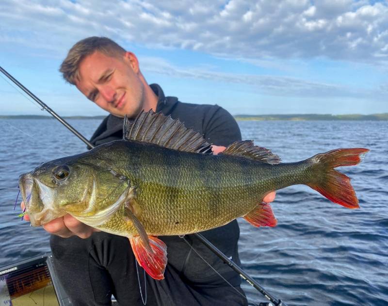 Carnivore fishing at Parentis - Cazaux