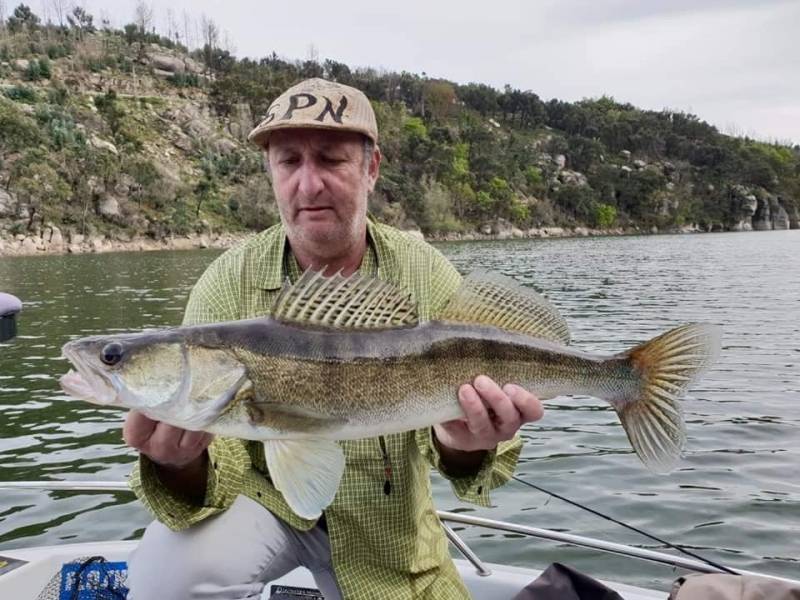 Pesca carnívora en Portugal