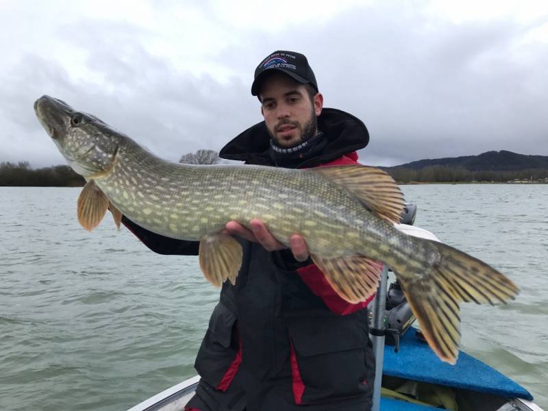 Lure fishing for predators on Lake Madine