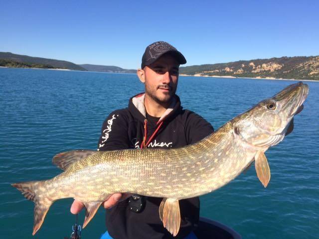 Pesca de carnívoros en el Verdon