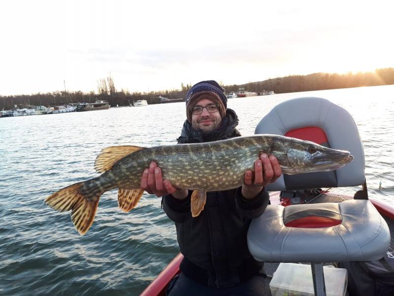 Carnivore fishing in Yvelines