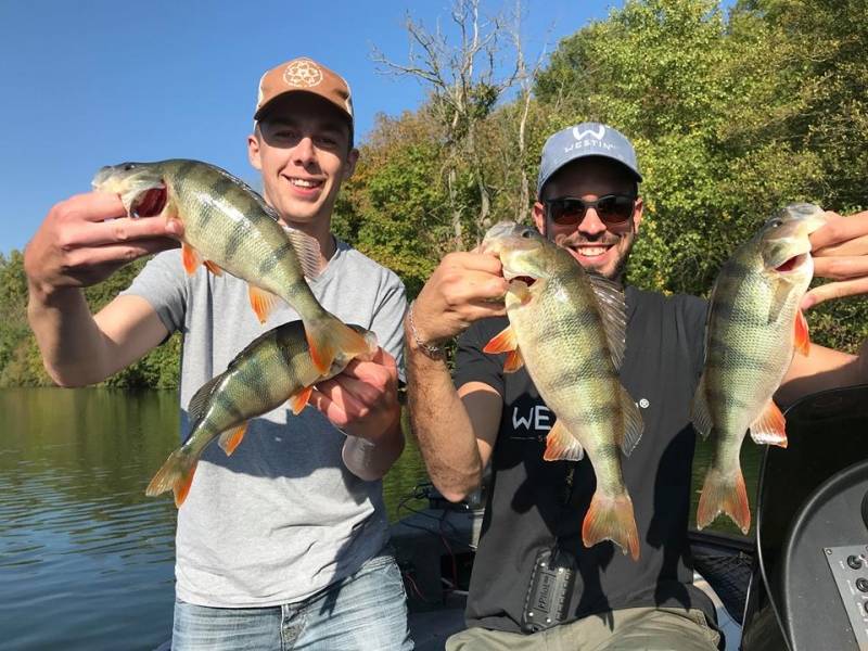 Carnivore fishing in Moselle