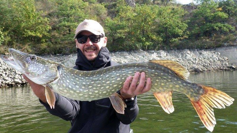 Carnivore fishing by boat on the Grangent dam