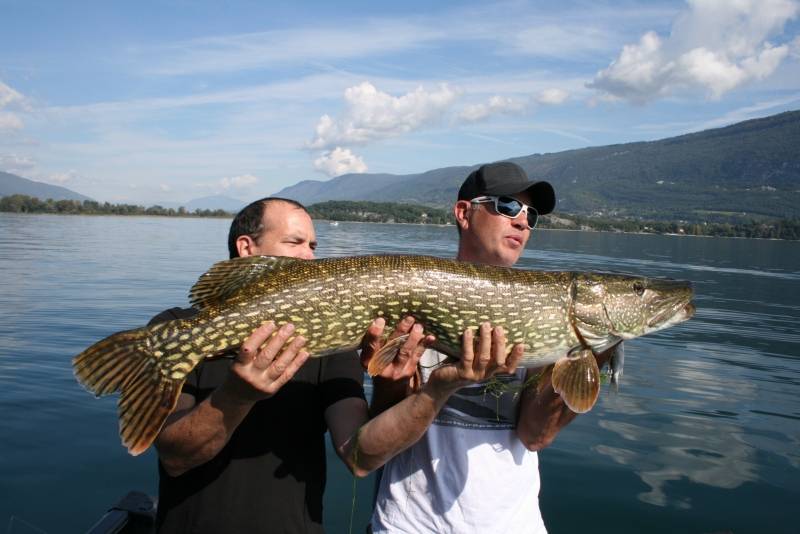 Carnivorous and salmonid fishing on Lac du Bourget