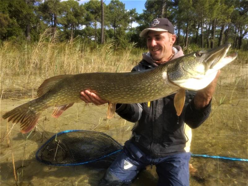 Pesca carnívora en el lago Carcans-Hourtin