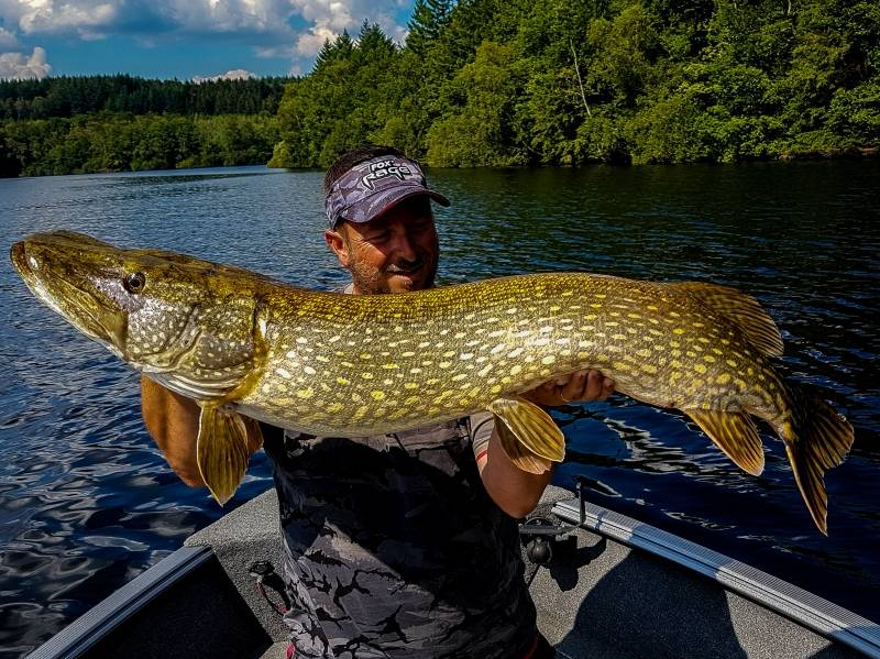 Pesca de carnívoros en el lago Vassivière