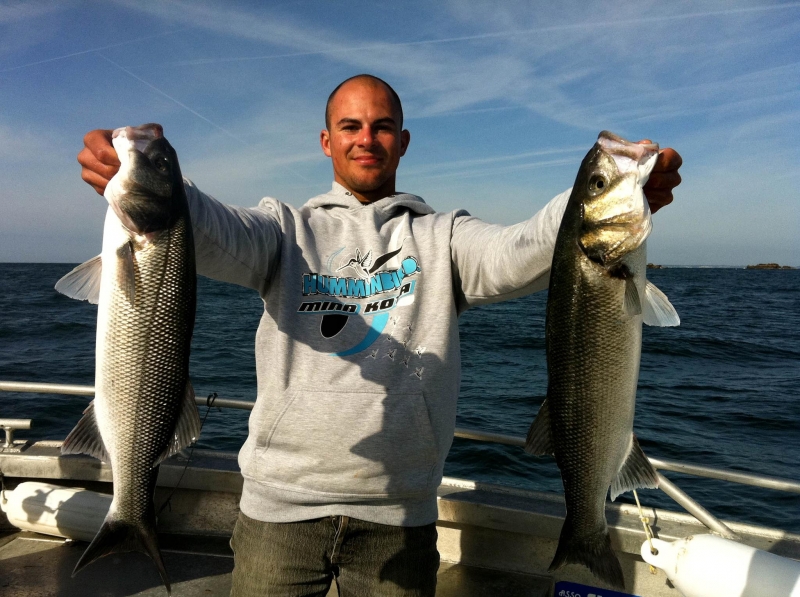 Pesca de lubinas en Morbihan