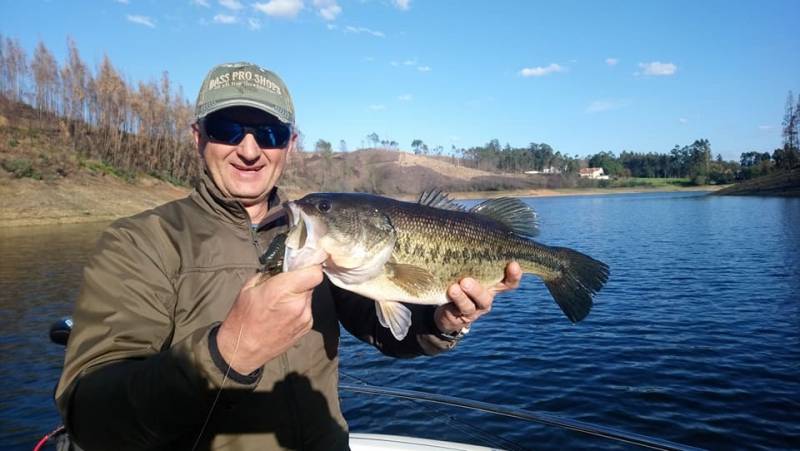 Pesca del black bass en Portugal