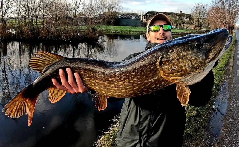 Pêche du brochet dans les polders Hollandais