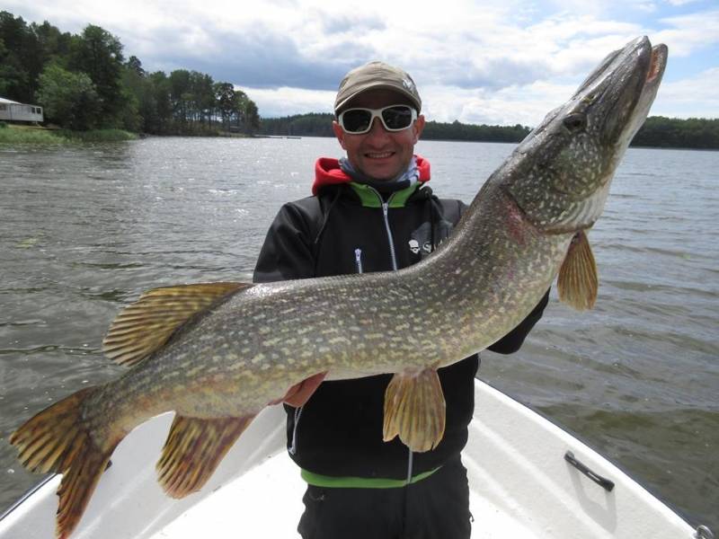 Pike fishing on the Mälaren in Sweden