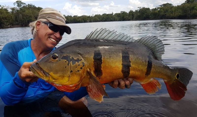 Fishing for peacock bass in the Brazilian Amazon