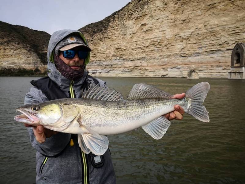 Pike-perch fishing at Mequinenza