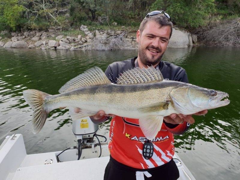 Pike-perch fishing in Portugal